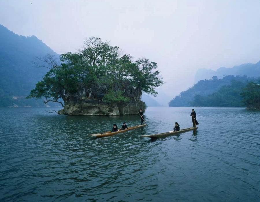 dao ba goa
