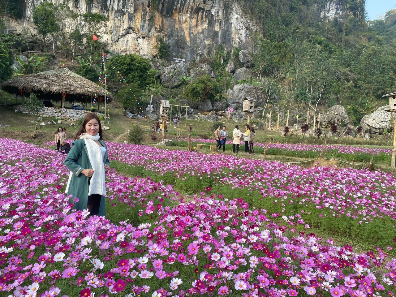 thung lung hoa lung cuc