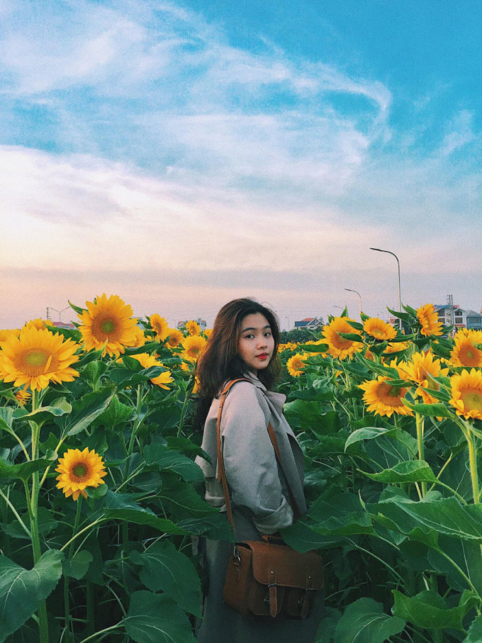 Vườn hoa Tân Bình