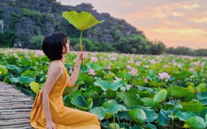 dam sen minh phuong