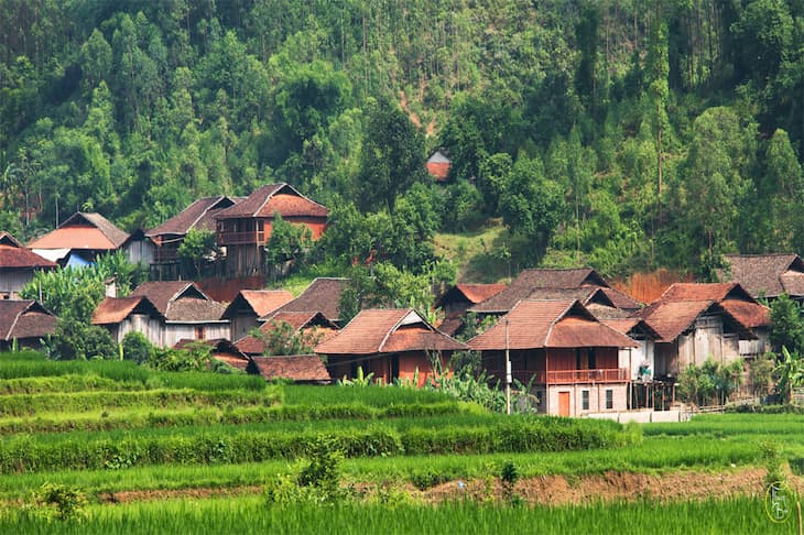 Hữu tiên
